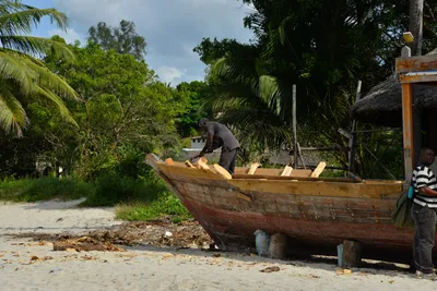 DSC_5493 (Large).JPG